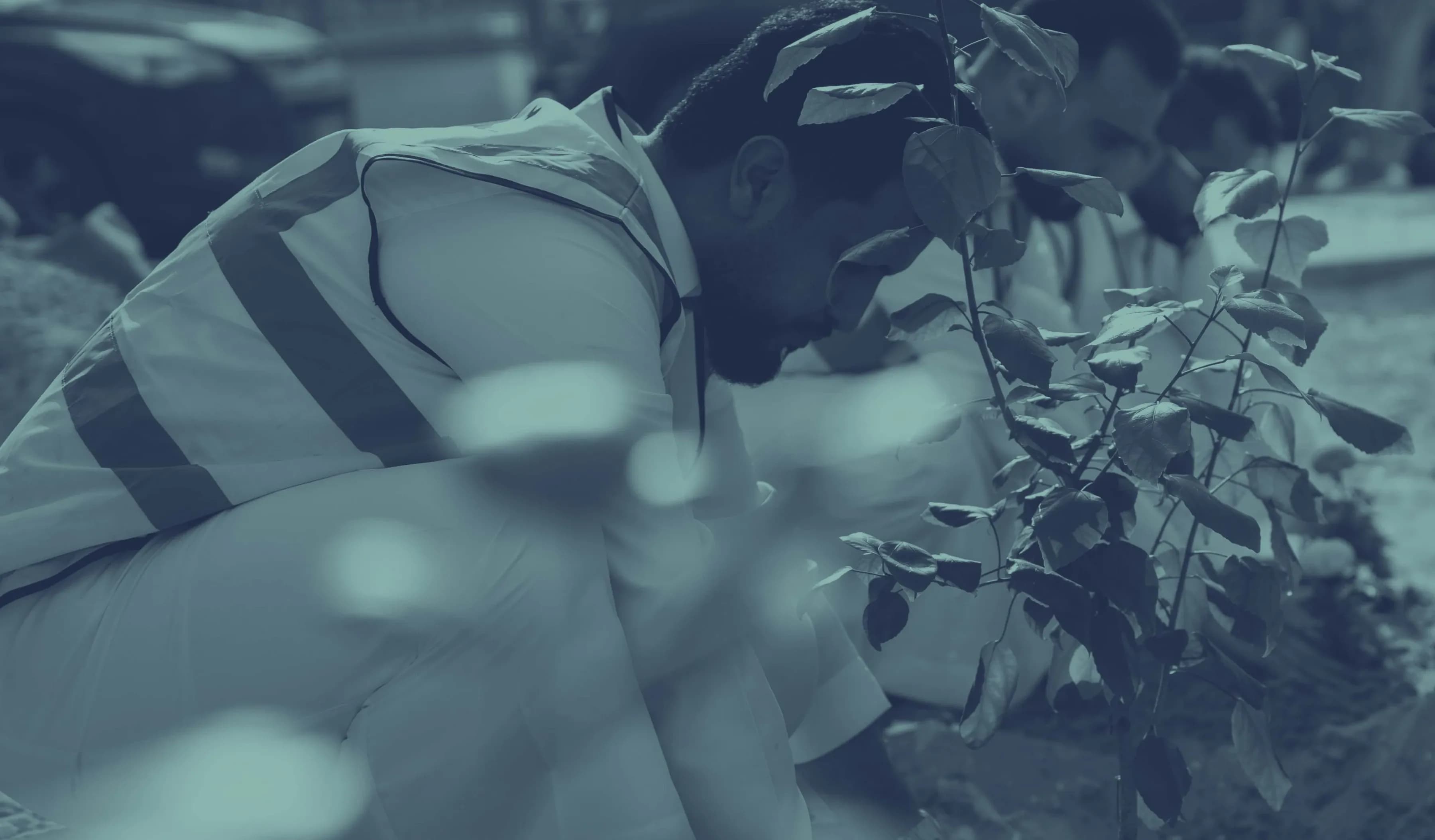 Environmental Sustainability